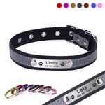 PetBuy™ Personalized Pet Collar Leather