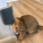 PetBuy™ Cats Brush Corner Massage