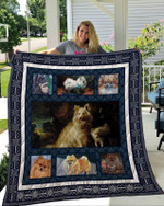Pomeranian 1 Quilt Blanket