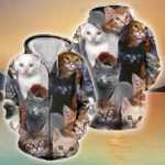 Premium Unique Cat Zip Hoodie Ultra Soft and Warm LTAVT090305HN