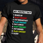 My Perfect Day Play Cricket T-Shirt Birthday Gift For Cricket Lovers Players