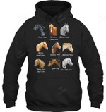 Horse Breeds Equestrian Horseback Sweatshirt Hoodie Long Sleeve
