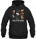 Foxes Of The World Sweatshirt Hoodie Long Sleeve