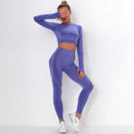 Dotted Jacquard Seamless Sports Suit Long Sleeve Gradient Fitness Yoga Wear Skinny Pants Women Bottoms