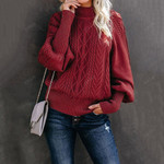 Casual Soft Stylish Solid Multicolor Crew Neck Knitted Jumper