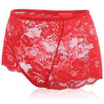 High Waist Rose Lace Embroidered Panties