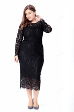 Plus Size Long Sleeve Lace Bodycon Dress