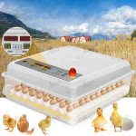 64 Eggs Digital Egg Hatcher 110V 12V Automatic Poultry Incubator Machine