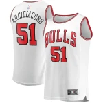 Ryan Arcidiacono Chicago Bulls Fast Break Player Team Nba Jersey - Association Edition - White