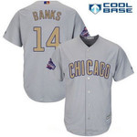 Men's Chicago Cubs #14 Ernie Banks Gray World Series Champions Gold Stitched Mlb Majestic 2017 Cool Base Jersey Mlb