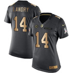Women's Nike Dolphins #14 Jarvis Landry Black Stitched Nfl Limited Gold Salute To Service Jersey Nfl- Women's