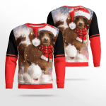 Christmas Dachshund Sweater/Sweatshirt