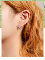Star Ear Hook Earrings