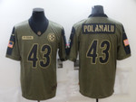 Men's Pittsburgh Steelers #43 Troy Polamalu Nike Olive 2021 Salute To Service Retired Player Limited Jersey Nfl
