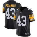 Nike Pittsburgh Steelers #43 Troy Polamalu Black Alternate Men's Stitched Nfl Vapor Untouchable Limited Jersey Nfl
