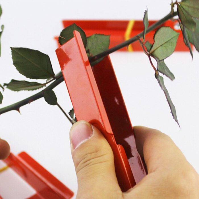 Flower Leaf Stripper and Thorn Remover