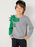 Boys Dinosaur Print Sweatshirt