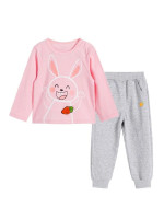 Toddler Girls Rabbit Print And Carrot Embroidery Tee & Sweatpants Set