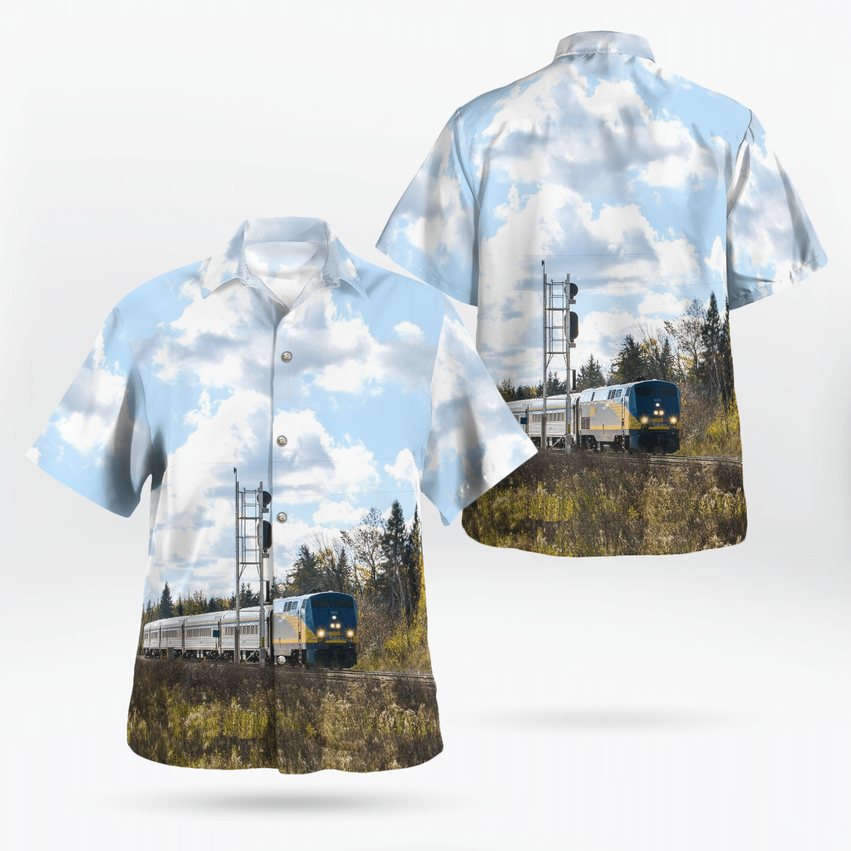 Check out some of the best 3d hawaiian shirt on the market today! 227