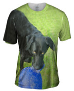 Black Lab And His Ball Mens T-Shirt