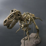 Large Dinosaur Fossil Skull Animal Model Toys T-Rex Assemble The Skeleton Model