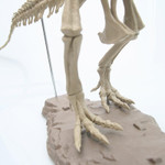 Large Dinosaur Fossil Skull Animal Model Toys T-Rex Assemble The Skeleton Model