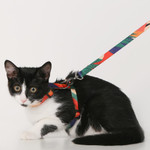 Adjustable Soft  Cat Leash Set for Walking Escape Proof with Leash For Small Medium Cats