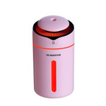 Mini Air Humidifier Fine Mist 2 Gears Spray USB Humidifier