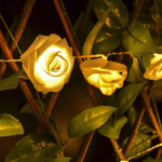 Flower Rose Fairy Light