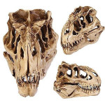 Dinosaur Skull Fossil Decoration