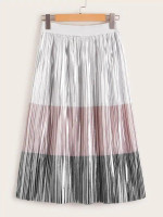 Colorblock Pleated Metallic Skirt