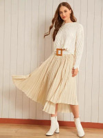 Solid Asymmetrical Belted Pleated Skirt