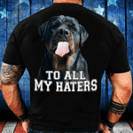 To All My Haters T-Shirt - ATMTEE
