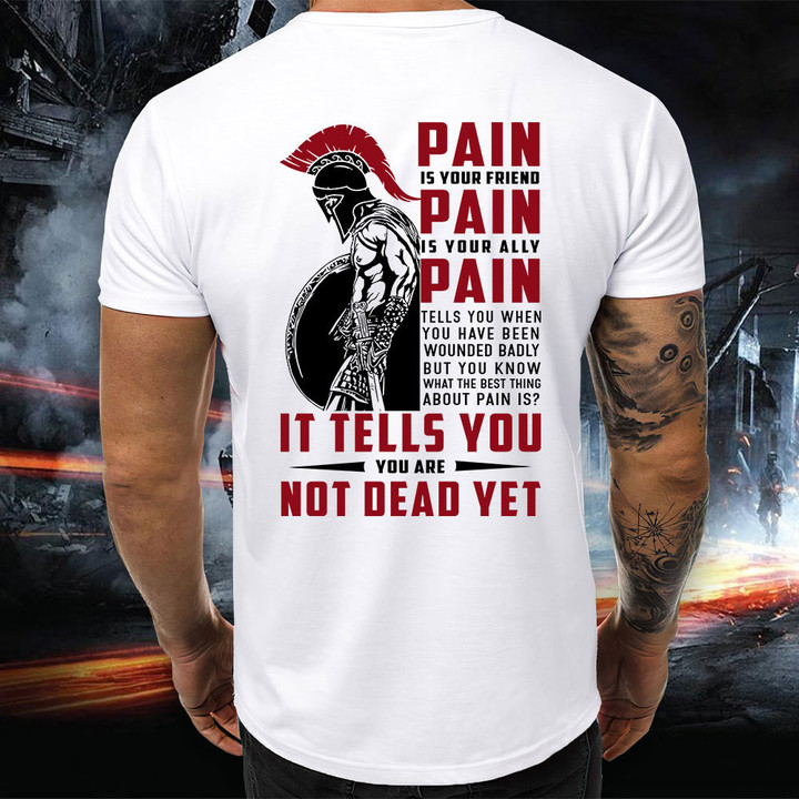 American Patriot Veteran, Pain Is Your Friend, Pain Is Your Ally T-shirt, Gift For Veterans