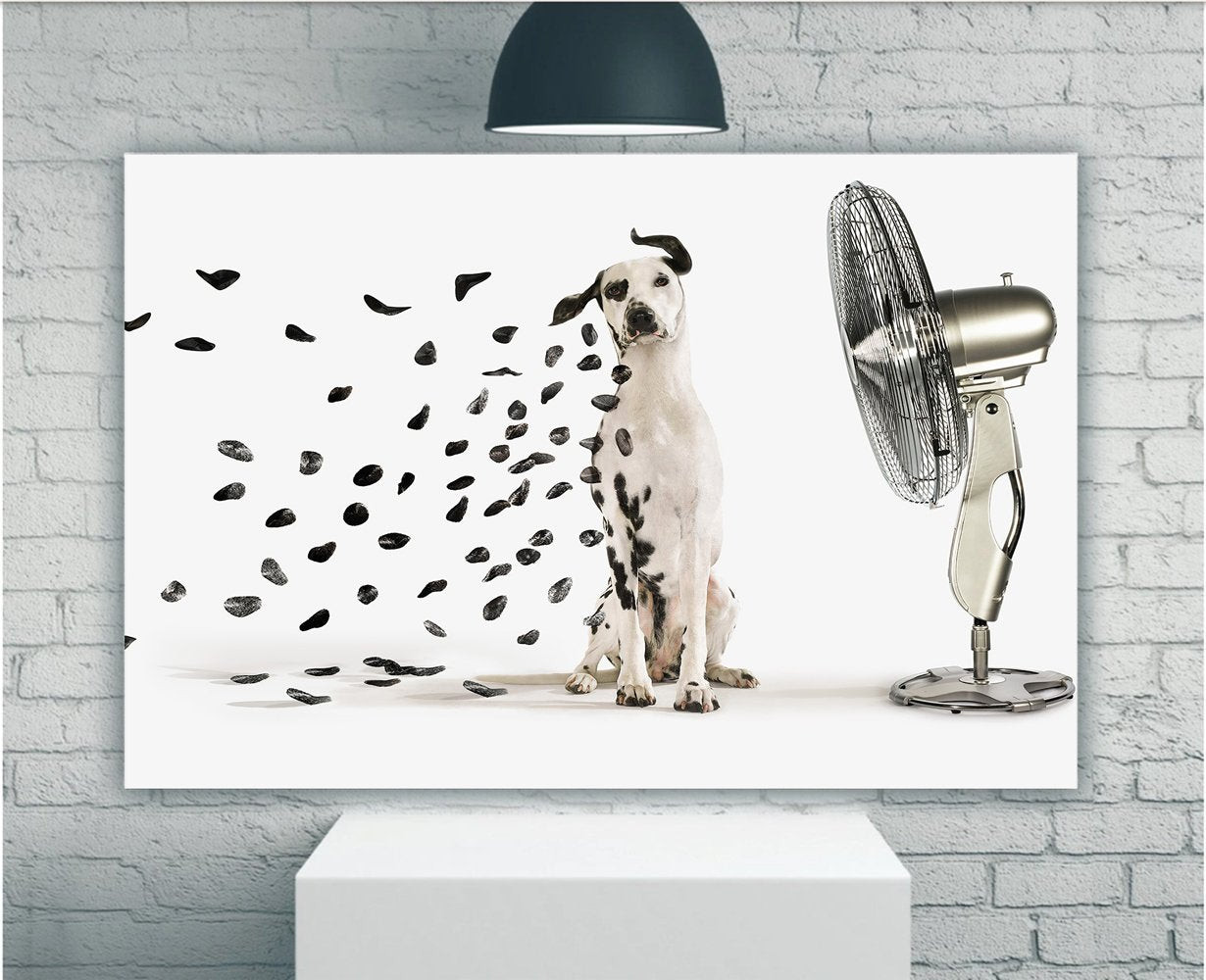 Funny Dog Canvas, Funny Dalmatian With Fan, Gifts For Dog Lover Canvas, Wall Art Home Decor
