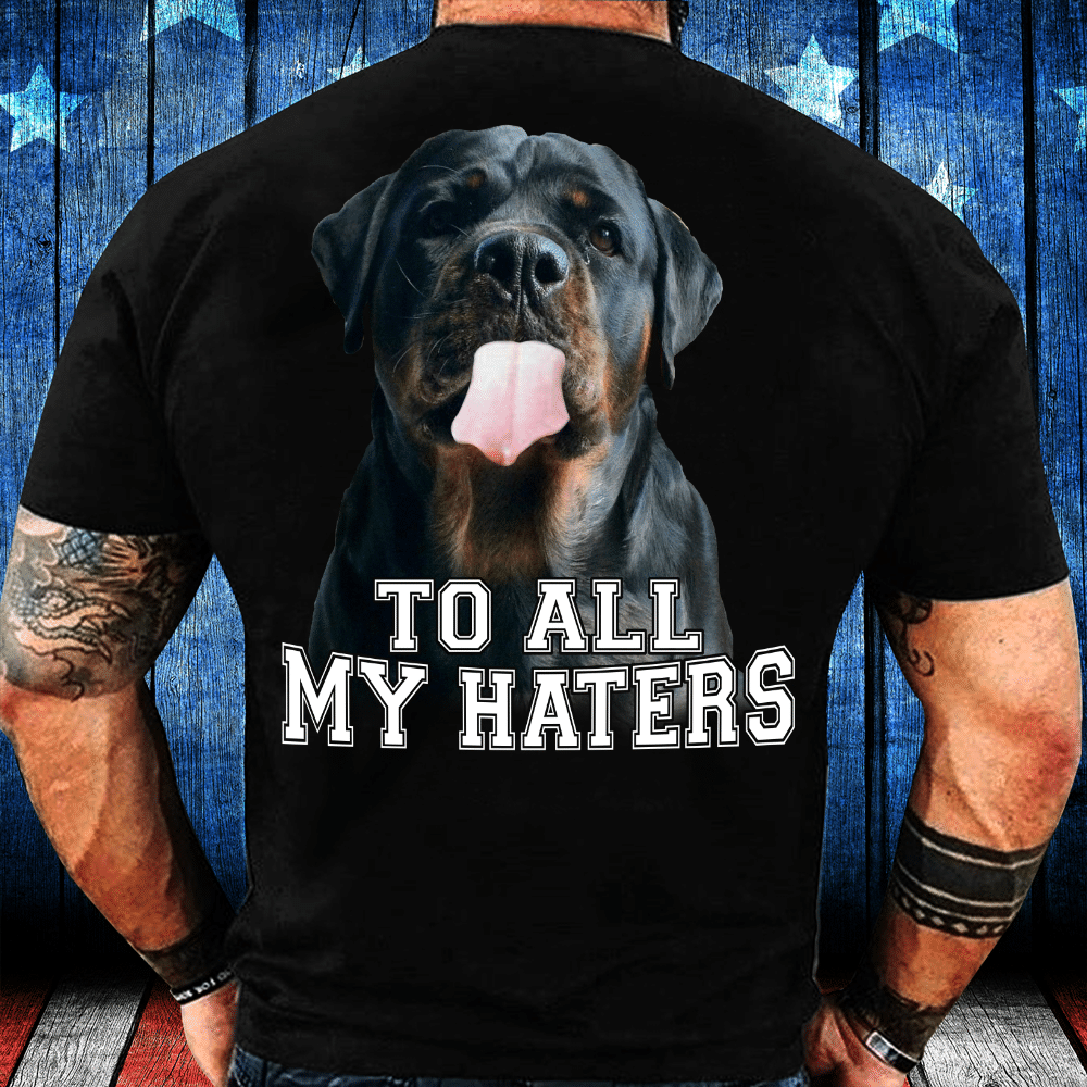 To All My Haters T-Shirt - ATMTEE