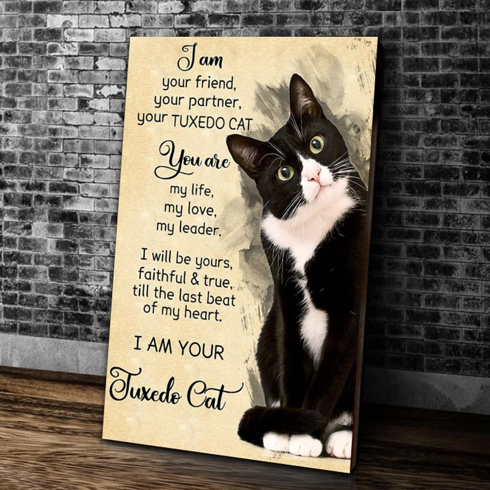 I Am Your Friend, Your Partner, Your Tuxedo Cat Matte Canvas