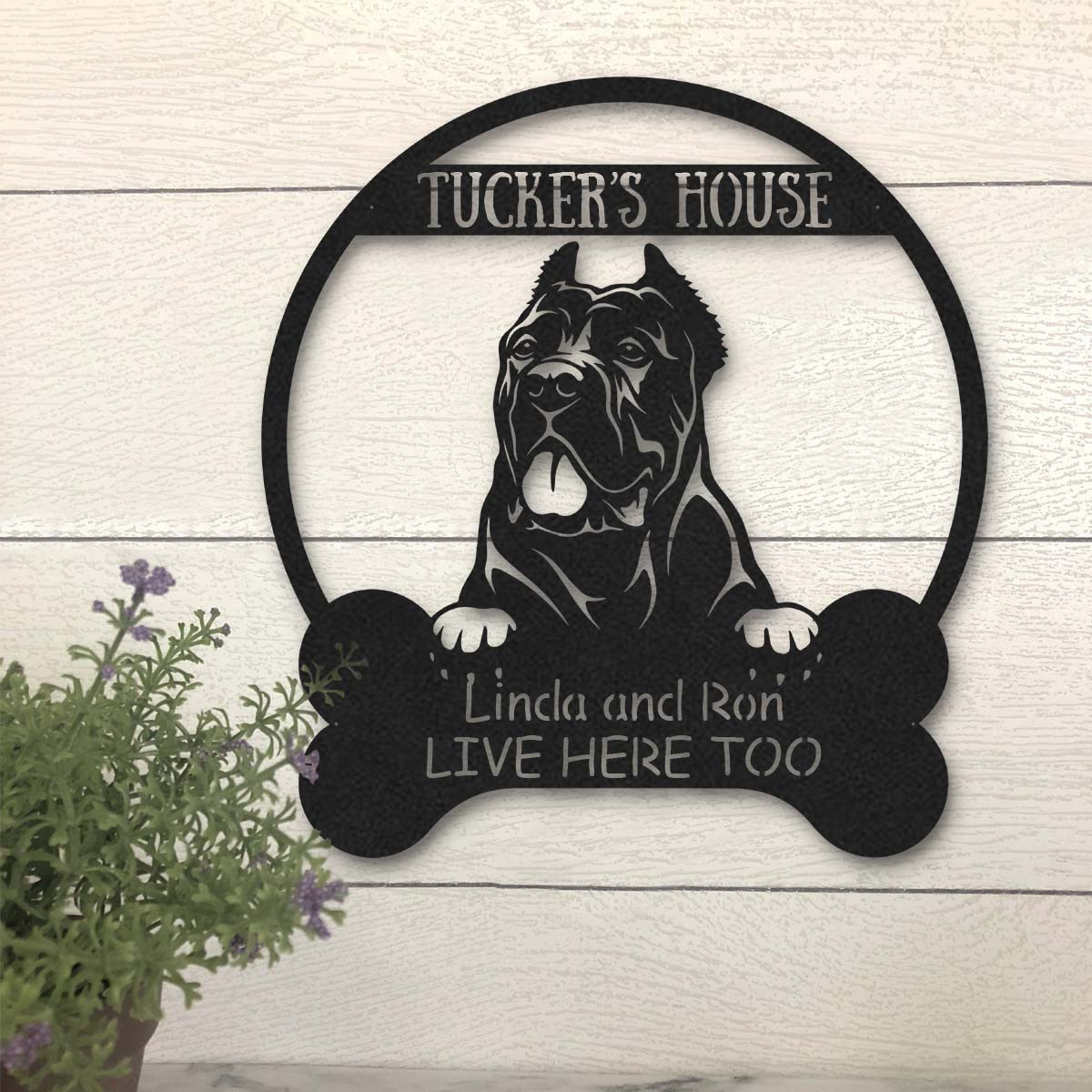 Cane Corso Dog Lovers Funny Personalized Metal House Sign Laser Cut Metal Signs Custom Gift Ideas 18x18IN