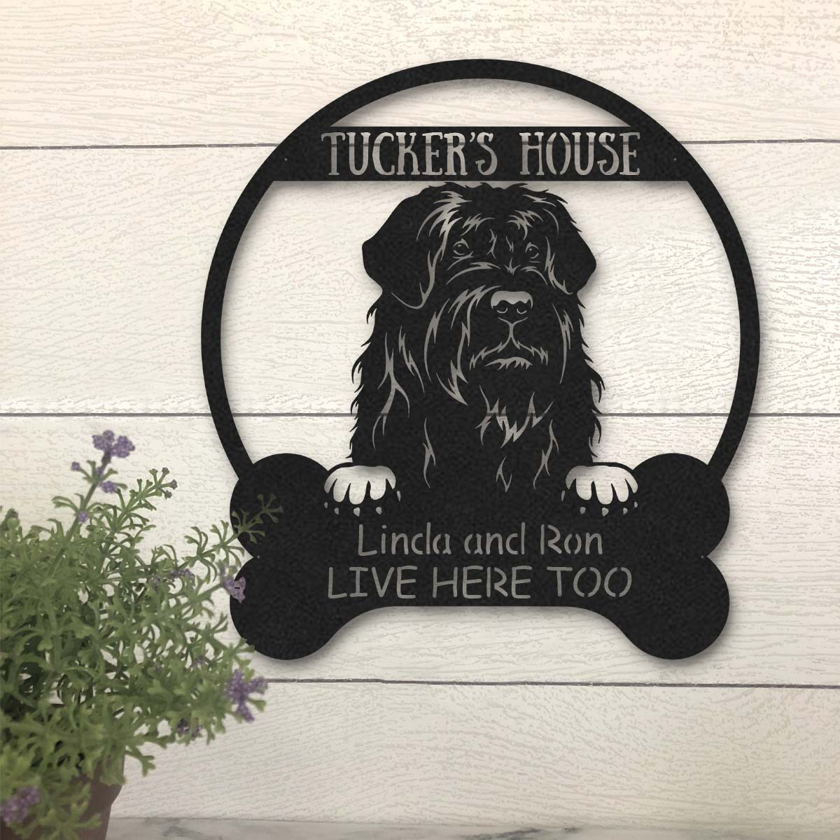 Black Russian Dog Lovers Funny Personalized Metal House Sign Laser Cut Metal Signs Custom Gift Ideas 18x18IN