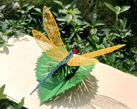 Mother's day, Birthday, Get well or any Details about   3D up Dragonfly with Flowers Card. 