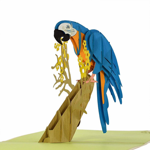 Parrot 3D Pop Up Card (Blue & Yellow Macaw)