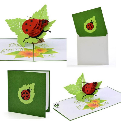 Ladybug Insect DIY 3D Pop Up Greeting Card Kit