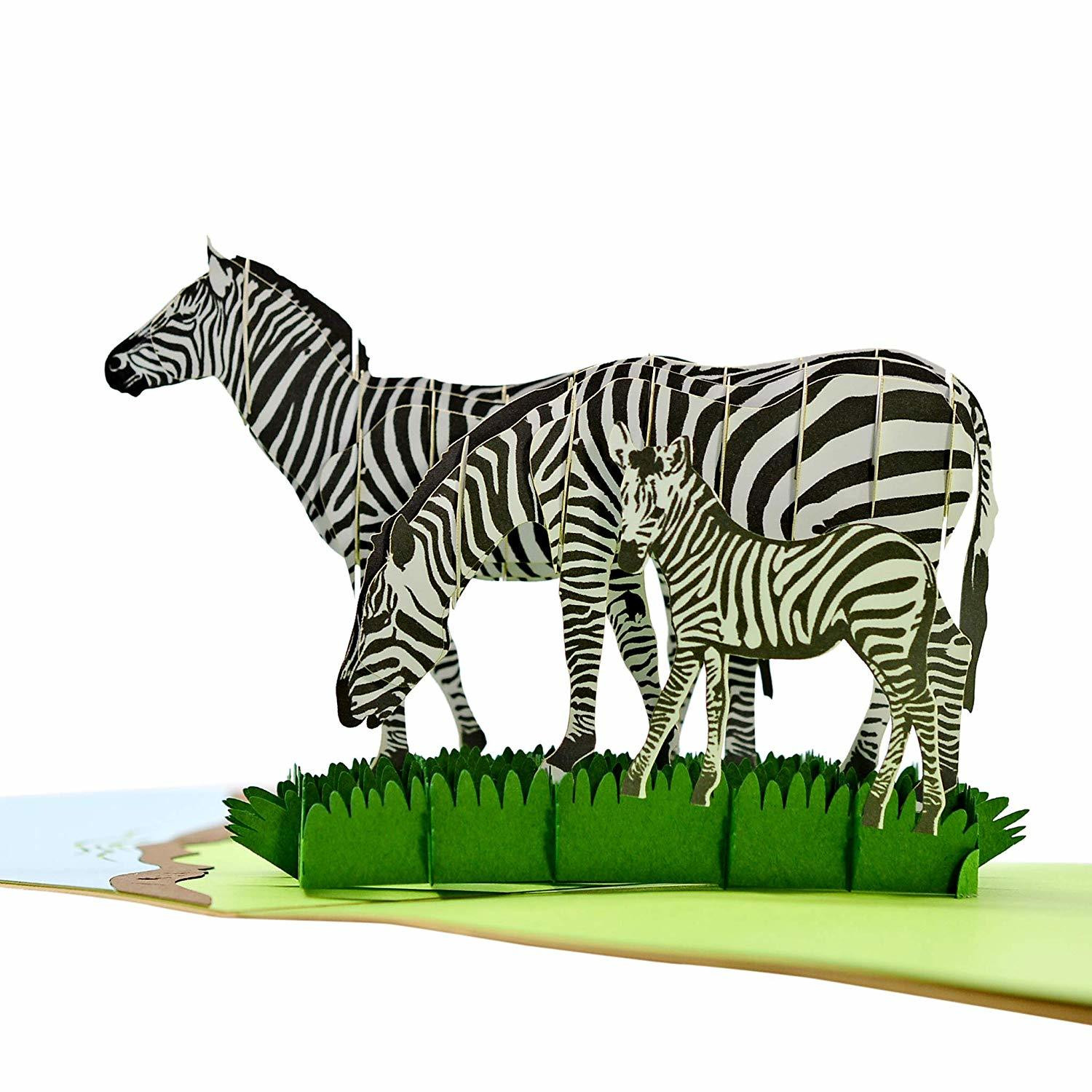 Zebra Pop Up Card
