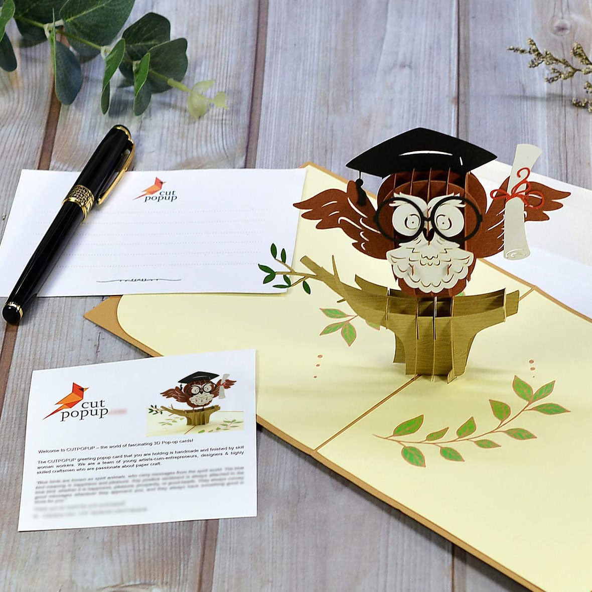 Graduation Owl Pop Up Card