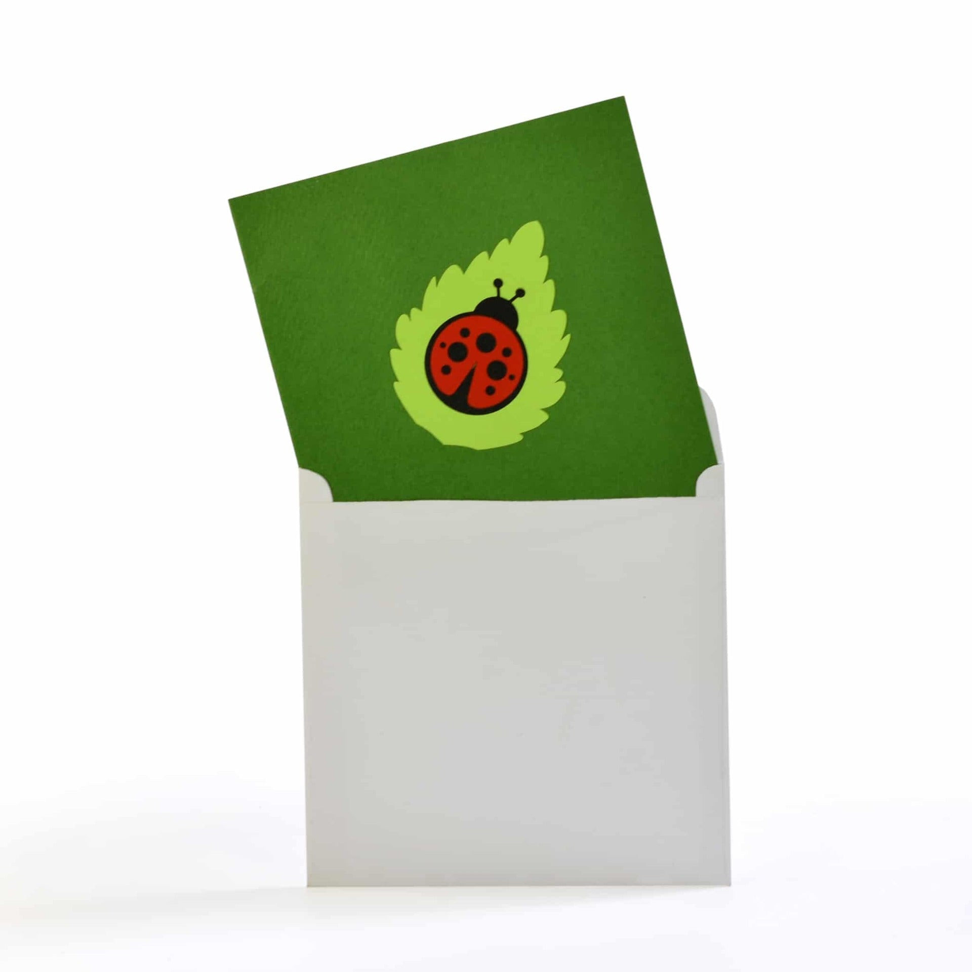 Ladybug Insect DIY 3D Pop Up Greeting Card Kit