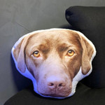 Custom Dog Pillow