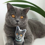 Make a Personalized Pet Pillow Key Chain Out of Your pet ’s Picture
