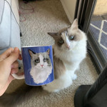 Custom Pet Coffee Mug / Vector Custom Pet Coffee Mug