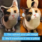 Custom Cat Pillow