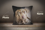 Custom Pet Pillow | Pet Photo Pillow